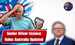 Distracted Driving Reform 20 October 2025 – Cameras Live Nationwide, Road Etiquette no Snacks/Sips/Vapes Fines Cameras