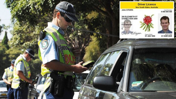 Canberra Issues Fresh Guidance,