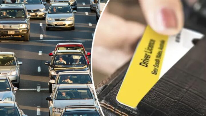 New Licence Cancellation Rule