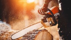 4 Steps to Proper Chainsaw Maintenance