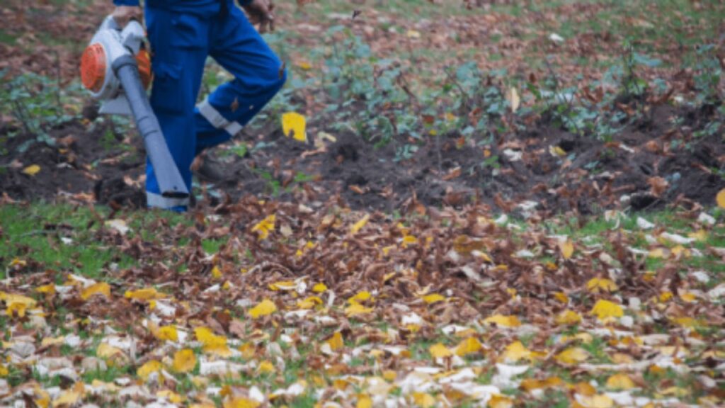 When your leaf blower won’t start