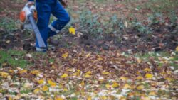 What to Do If Your Leaf Blower Won’t Start